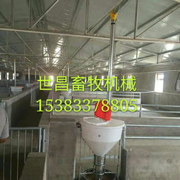 養(yǎng)豬設(shè)備廠供應自動下料桶 生產(chǎn)廠家、價格解析與羊場應用前景